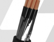 CABO CORD-CONTROLE NBL 500V OU 1kV